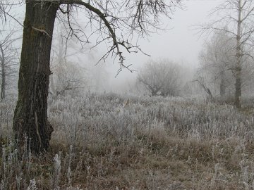 Якою буде погода на вихідних: синоптики уточнили прогноз