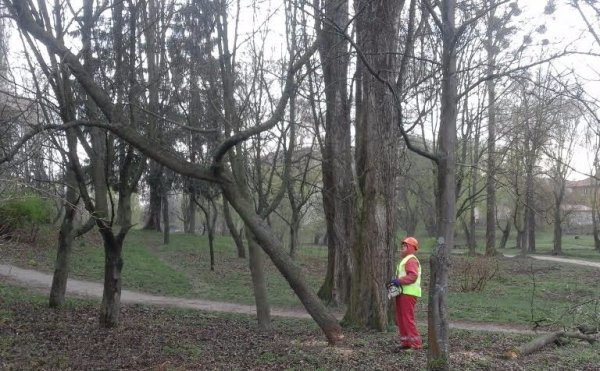 У Луцьку розпочали масштабне прибирання парку імені 900-річчя. ФОТО