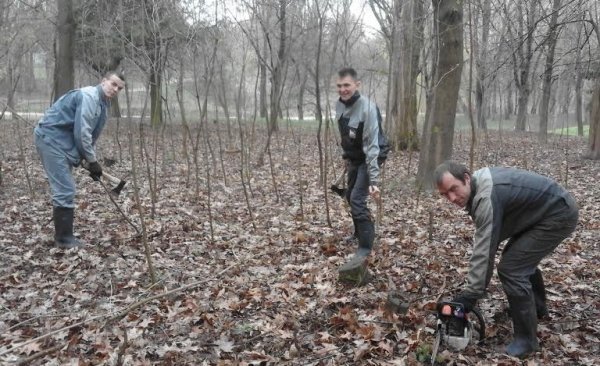 У Луцьку розпочали масштабне прибирання парку імені 900-річчя. ФОТО