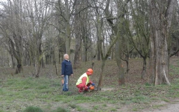 У Луцьку розпочали масштабне прибирання парку імені 900-річчя. ФОТО