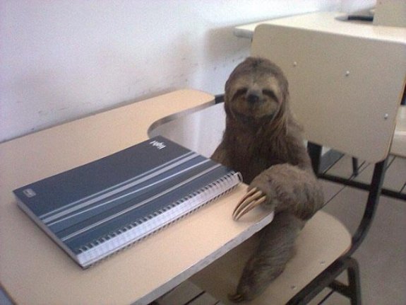 Будь-який студент між сесіями виглядає так