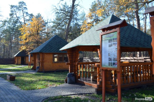 Савченко розповів, чому захищає лісників