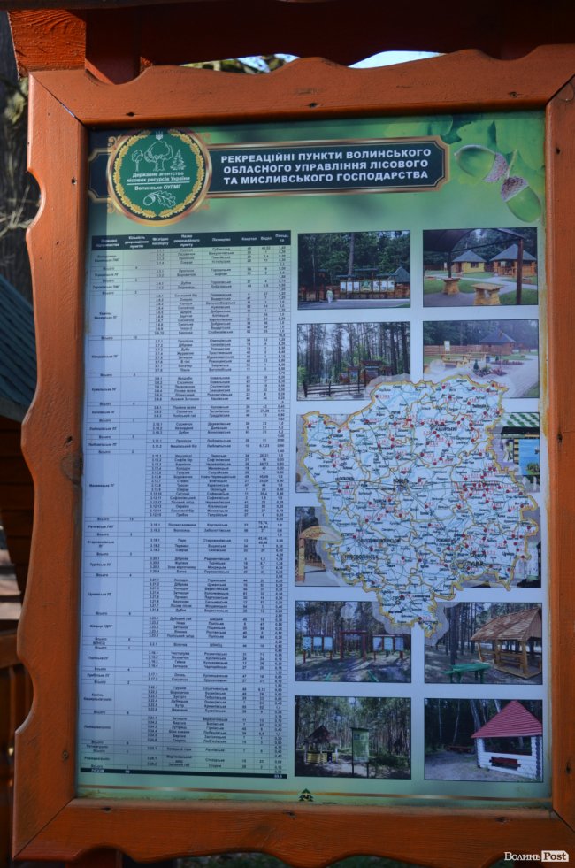 Савченко розповів, чому захищає лісників