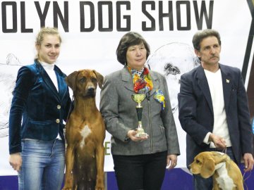 У Луцьку обрали найкращих собак. ФОТО
