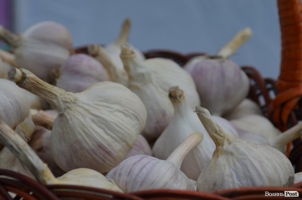 У Луцьку «Чесно» нагодував комуністів часником. ФОТО 