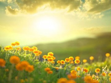 Погода в Луцьку та Волинській області на п'ятницю, 15 травня