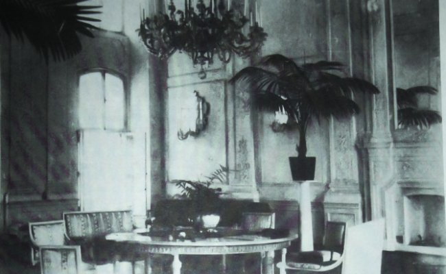 Олицька резиденція на унікальних ретрофото