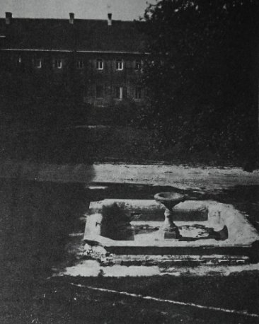 Олицька резиденція на унікальних ретрофото