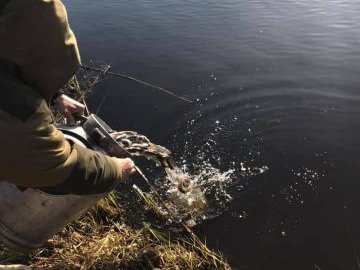 Небайдужі жителі волинського села зарибнили річку 