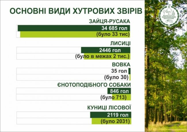 В мисливських угіддях Волині зросла кількість хутрових і парнокопитних тварин 