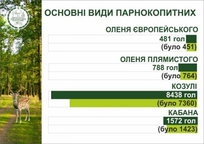 В мисливських угіддях Волині зросла кількість хутрових і парнокопитних тварин 