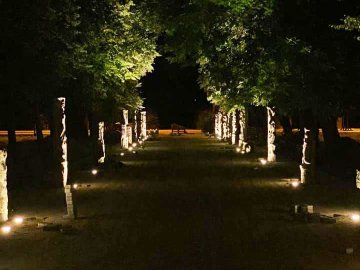 Загадково і містично: у центральному парку Луцька підсвітили алею Голованя. ФОТО