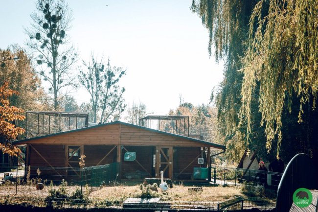 Жовтогаряча осінь у Луцькому зоопарку. ФОТО