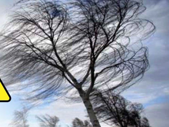 Через сильний вітер без електроенергії залишилися 300 населених пунктів