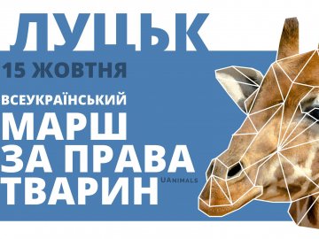 Завтра в Луцьку марш за права тварин