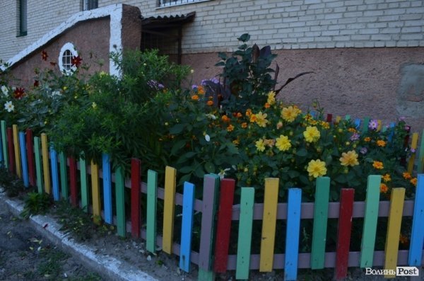 Місто, яке я люблю. Квіти Луцька