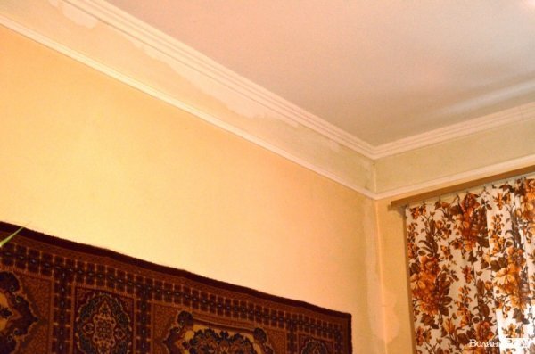 У центрі Луцька зруйнувалася ще одна підпірна стіна. ФОТО 