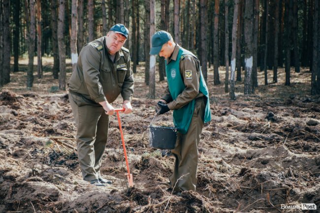 Інноваційні ідеї від молоді і гектари нових дерев: як на Волині відзначили Міжнародний день лісів