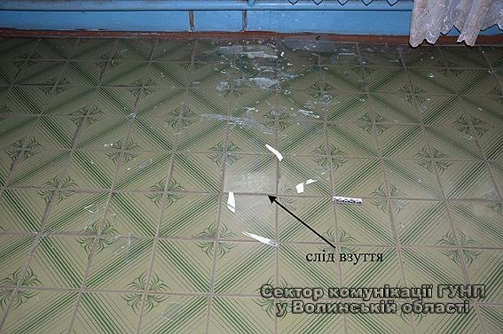 У Ковелі на гарячому упіймали сім’ю злодіїв. ФОТО