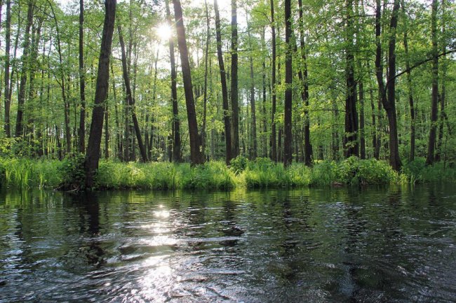 Волинський фотограф показав красу «високої води» річки Стохід. ФОТО
