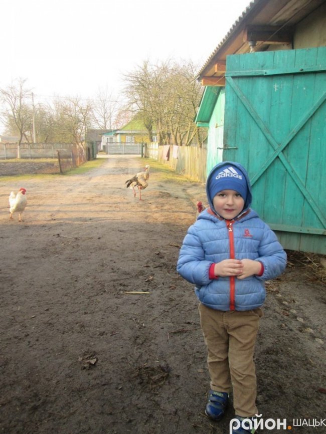 Лелека прижився у волинській родині, яка його врятувала