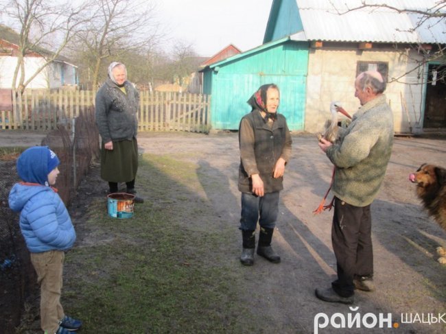 Лелека прижився у волинській родині, яка його врятувала