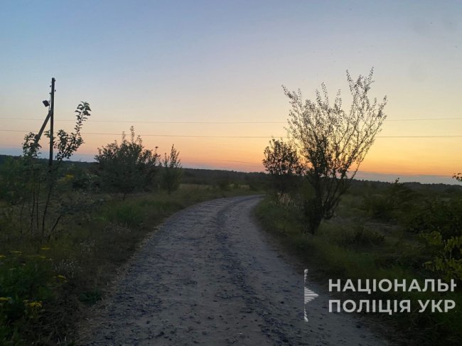 На Волині дві восьмикласниці потрапили у ДТП на квадроциклі: водійка з'їхала  у кювет та врізалась  у дерево