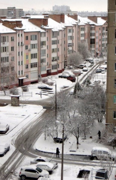 Сніжне фото художниці Марини Лактіонової