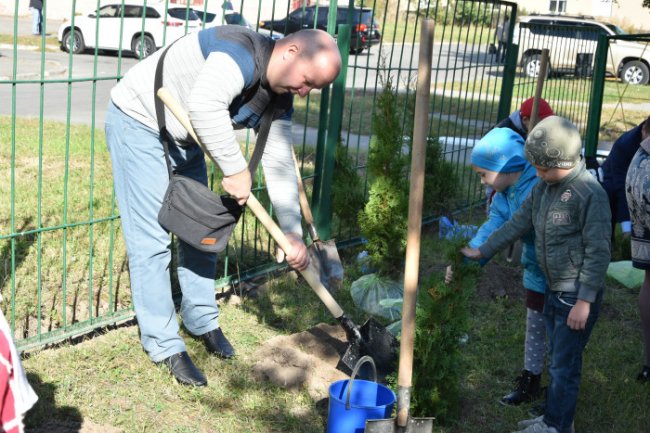 У луцькому садочку висадили алею туй. ФОТО