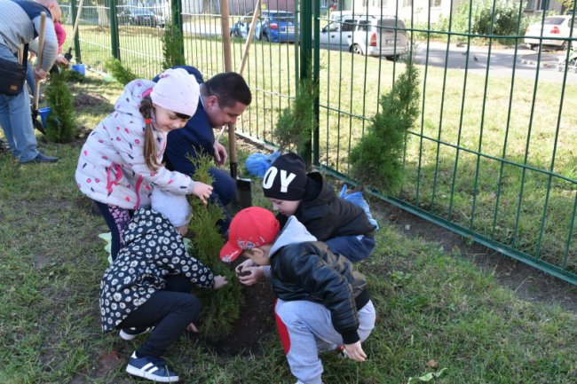 У луцькому садочку висадили алею туй. ФОТО