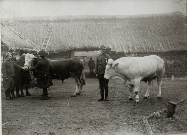 Якими були ферми і сироварні на Волині  сто років тому. РЕТРОФОТО