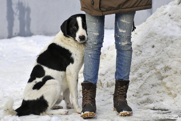 Стильний Луцьк: Олена Григоренко
