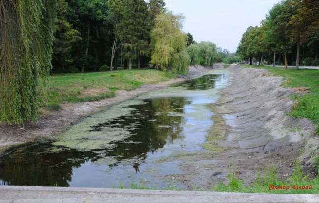 У Луцьку гине парк, - фотограф