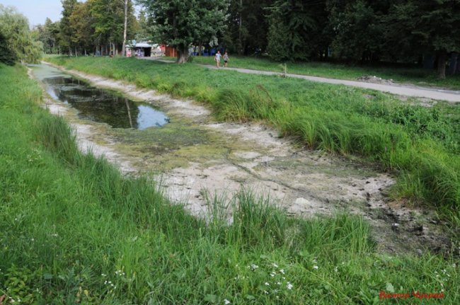 У Луцьку гине парк, - фотограф