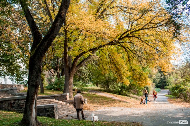 Жовто-багряний настрій: Луцьк на осінніх світлинах