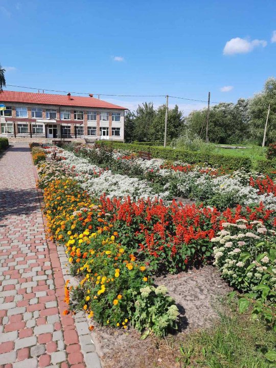 Волинські школи — серед найквітучіших в Україні. ФОТО