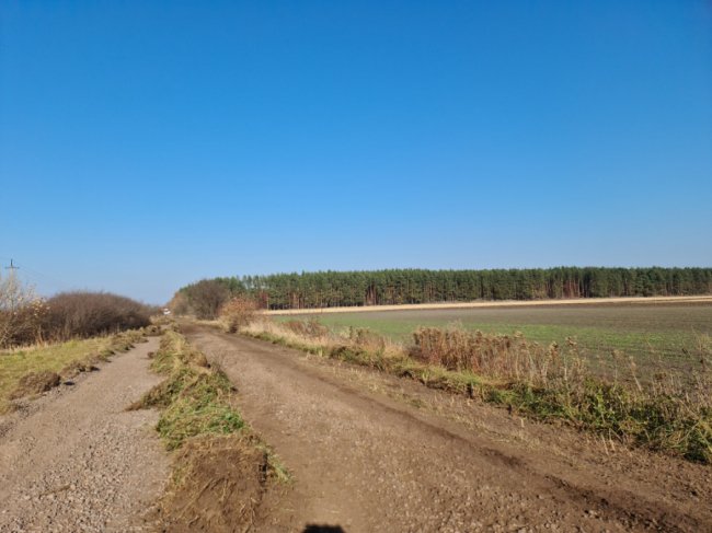 У Підгайцівській громаді розпочали ремонт ще однієї вулиці. ФОТО