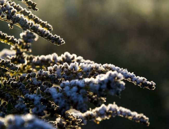 Волинський медійник поділився «морозними» світлинами