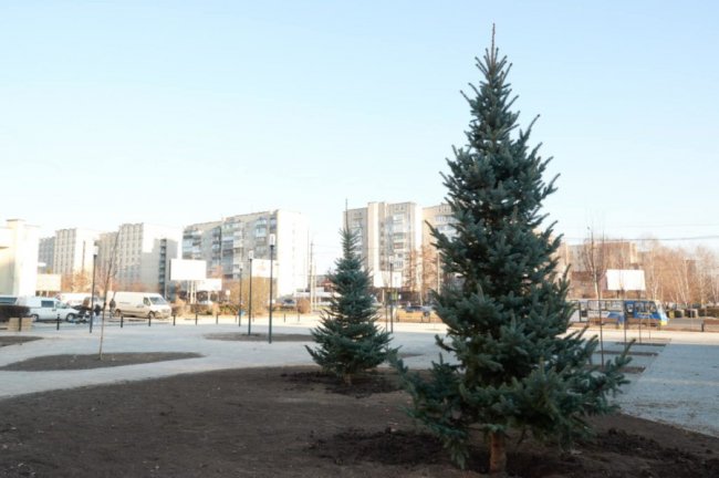  Показали, який вигляд має оновлена площа біля РАЦСу в Луцьку. ФОТО