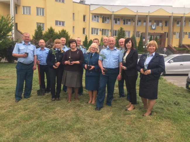 До Дня ветерана митної служби на Волині висадили унікальні фенікс-дерева. ФОТО