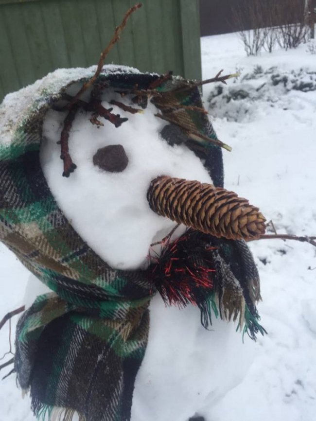 Волиняни в соцмережах активно діляться світлинами сніговиків. ФОТО