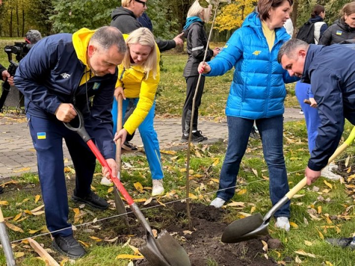 У місті на Волині на честь Героїв посадили алею пам'яті. ФОТО