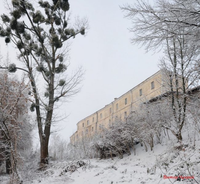 Засніжені древні монастирі Луцька. ФОТО
