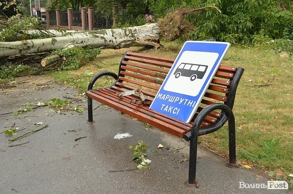 У Луцьку вітер звалив дерево на стовп: лінії електропередач валяються на дорозі. ФОТО. ОНОВЛЕНО