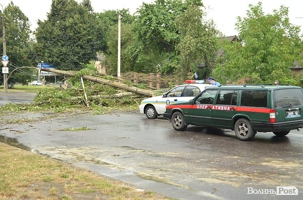 У Луцьку вітер звалив дерево на стовп: лінії електропередач валяються на дорозі. ФОТО. ОНОВЛЕНО