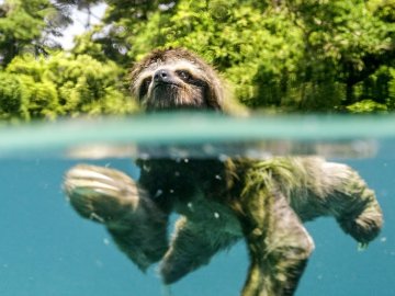 У Луцьку влаштують кінопоказ фільму від ВВС