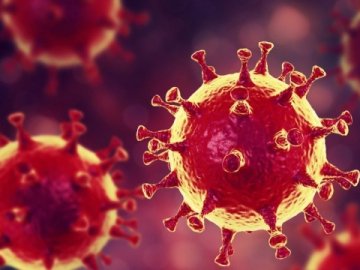 На Волині за добу зафіксували 230 нових випадків коронавірусу: статистика захворювання