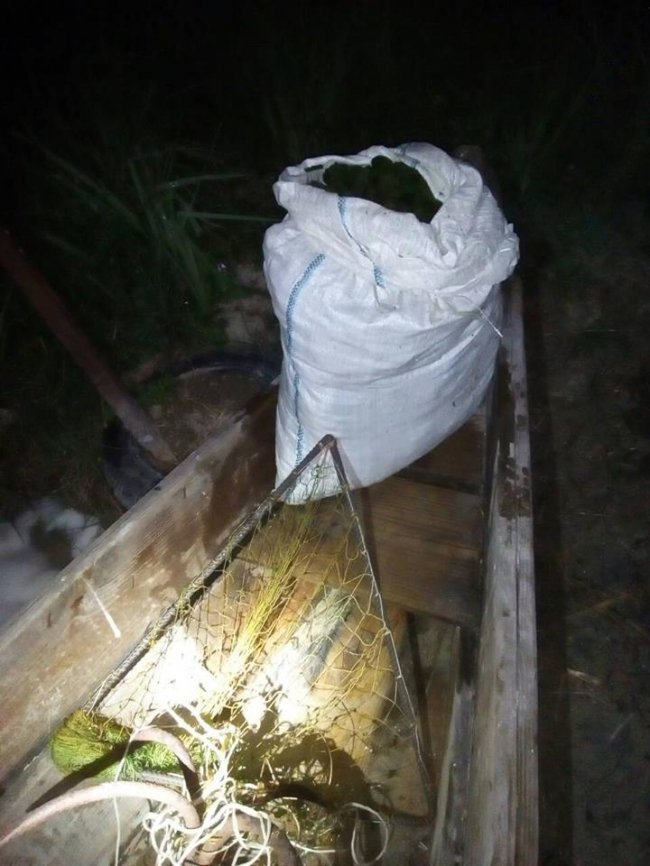 На Волині впіймали браконьєрів, які збирали водорості для очищення води