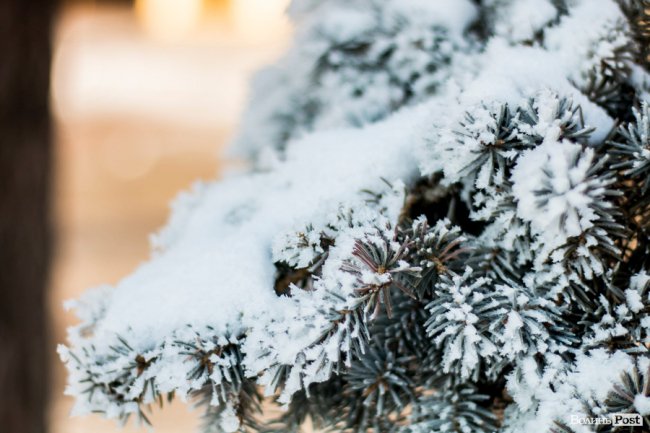 Луцьк – у кришталевій паморозі: казкові світлини різдвяного ранку. ФОТО