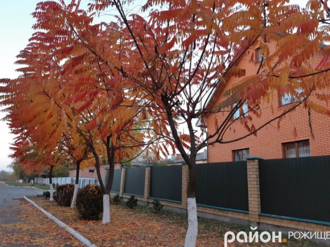 Місто на Волині восени: жовто-багряна краса. ФОТО